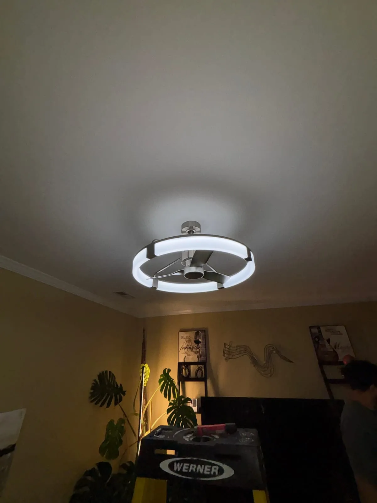 Ceiling fan with light and a new 3-way switch